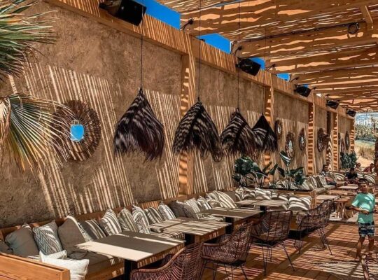 Natural thatch ceiling panels in UAE ( Natural thatch ceiling panels in Al Ras Dubai )