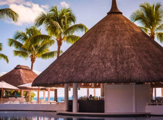 Natural thatch ceiling panels in UAE ( Natural thatch ceiling panels in Ras Al Khor Dubai )