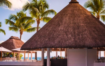 Natural thatch ceiling panels in UAE ( Natural thatch ceiling panels in Al Garhoud Dubai )