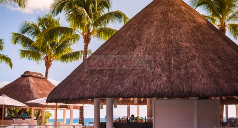 Natural thatch ceiling panels in UAE ( Natural thatch ceiling panels in Al Garhoud Dubai )