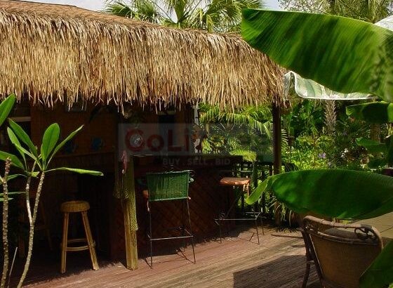 Natural thatch ceiling panels in UAE ( Natural thatch ceiling panels in Dubai Marina )