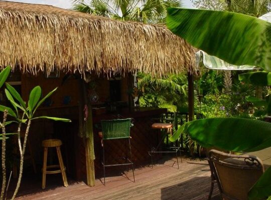 Natural thatch ceiling panels in UAE ( Natural thatch ceiling panels in Al Barsha Dubai )