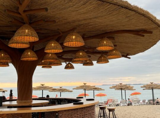 Natural thatch ceiling panels in UAE ( Natural thatch ceiling panels in Al Jaddaf Dubai )