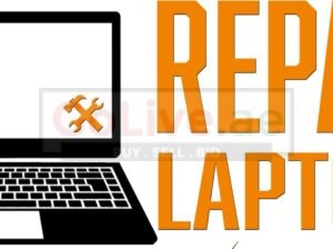 Dell Vostro Laptop Support