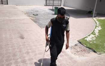 🏝️ Low Cost Anti Termite Treatment Palm Jumeirah