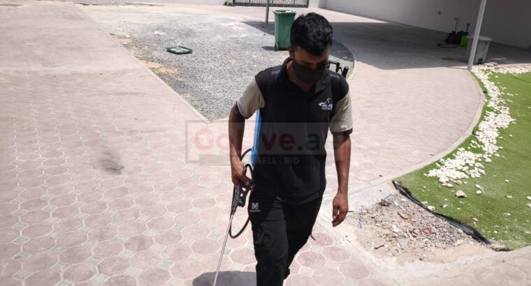 🏝️ Low Cost Anti Termite Treatment Palm Jumeirah