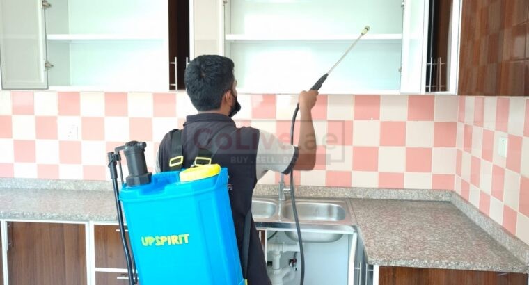 🏝️ Low Cost Anti Termite Treatment Palm Jumeirah