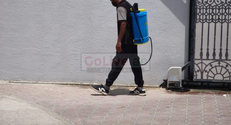 🏝️ Low Cost Anti Termite Treatment Palm Jumeirah