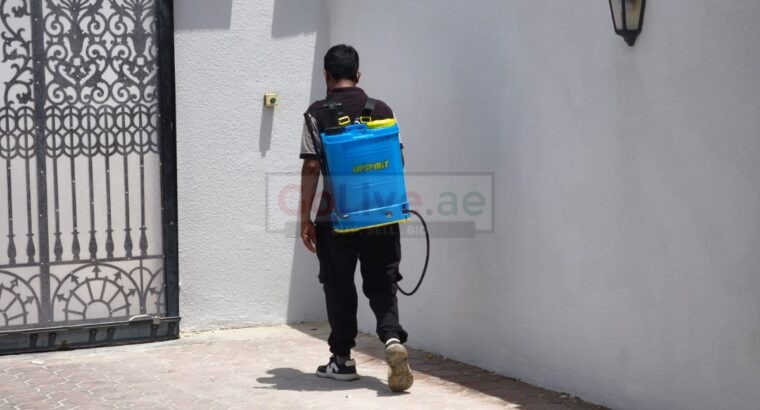 🏝️ Low Cost Anti Termite Treatment Palm Jumeirah