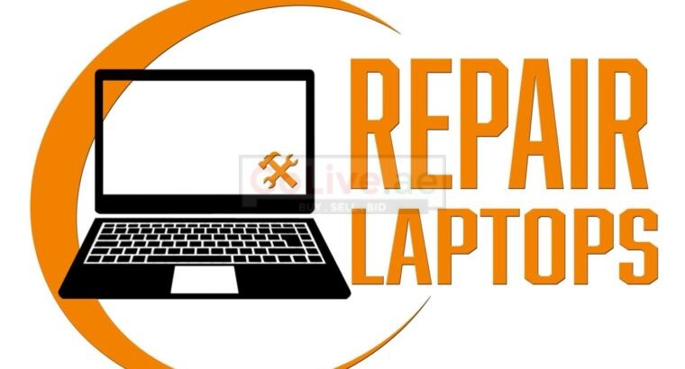 Dell XPS Laptop Support