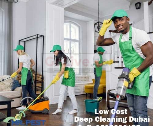 Low Cost Odor Removal Palm Jumeirah 052 538 3175