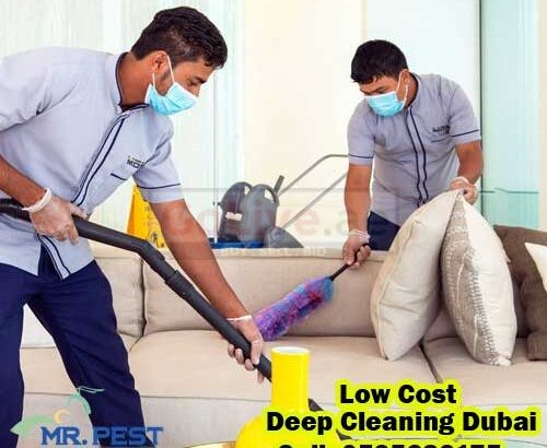 Low Cost Odor Removal Palm Jumeirah 052 538 3175