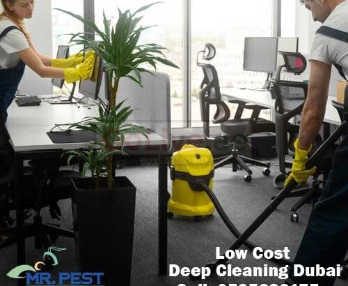Low Cost Odor Removal Palm Jumeirah 052 538 3175
