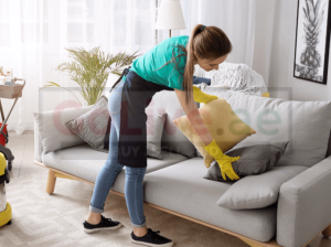 Professional Cleaning Services in Media City | 045490505