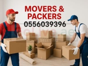 Apartment Movers in Dubai