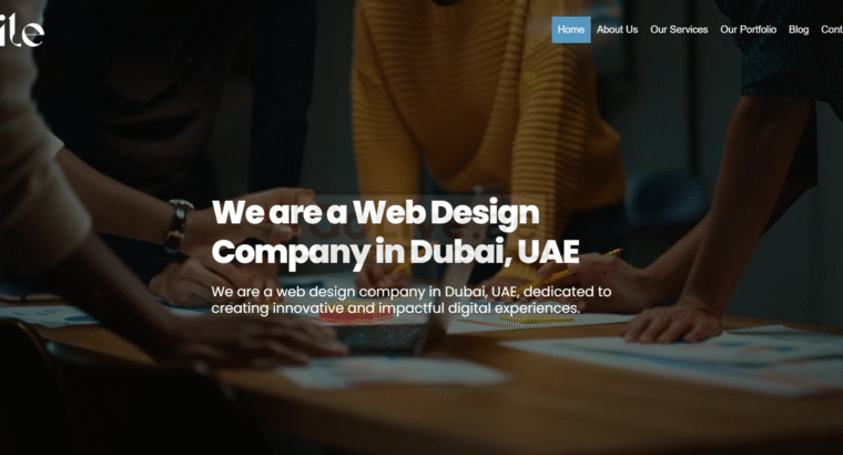 Nile Web Design & Digital Marketing Dubai