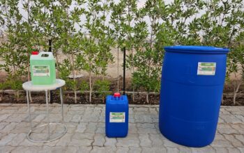 Premium Quality Dish Wash for Shiny, Spotless Dishes