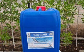 Best Glass Cleaner for Windows, Mirrors, and Car Windshields