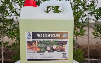Fuji Pine Disinfectant 20L – Industrial Floor Cleaner and Deodorizer