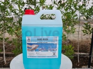 Buy Hand Wash Online in UAE – Fuji Premium