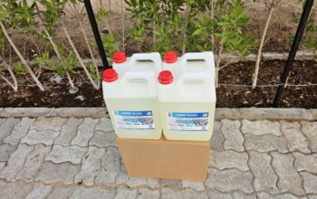 Long-Lasting Freshness You Can See ( Best Detergent Factory in Abu Dhabi )