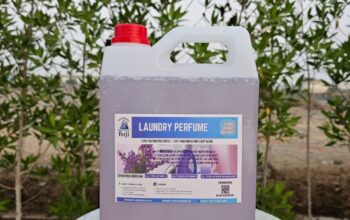 Best Laundry Perfume for Fresh and Soft Clothes – Fuji