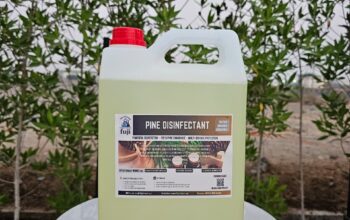 Fuji Pine Disinfectant for Hospitals, Hotels and Offices