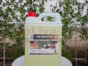 Fuji Pine Disinfectant – Powerful Cleaner with Fresh Pine Fragrance