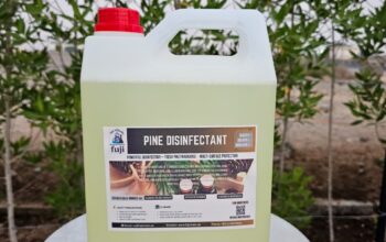 Fuji Pine Disinfectant for Homes, Offices and Hospitals – Pine Fresh Clean