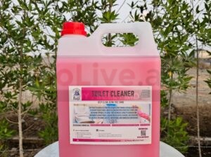 Thick Fragrant Toilet Cleaner – Fuji Premium Quality Gel