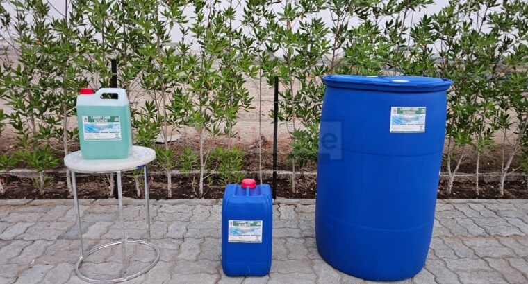 Liquid Detergent with Biodegradable Surfactants