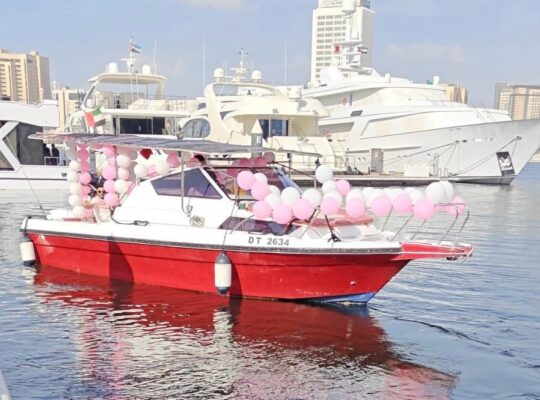 29ft Tourism/Commercial Yacht Boat | Yamaha 200HP | 2023 build | Direct from owner