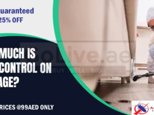 # Ants Treatments – 25% EXTRA OFF DUBAI