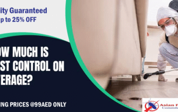 # Ants Treatments – 25% EXTRA OFF DUBAI