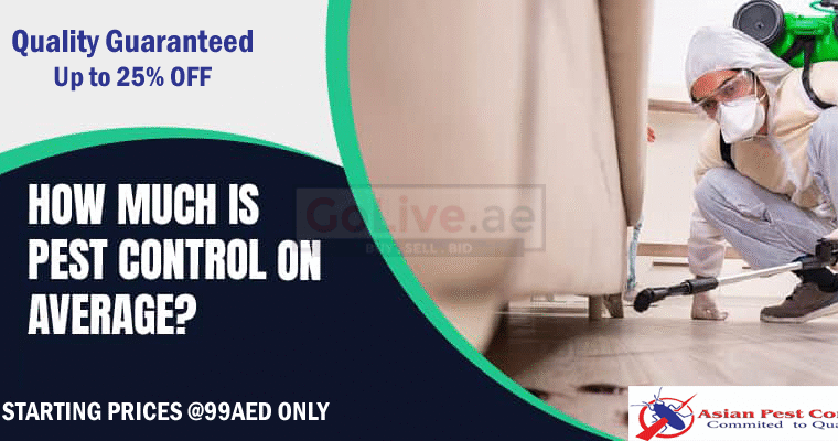 # Ants Treatments – 25% EXTRA OFF DUBAI
