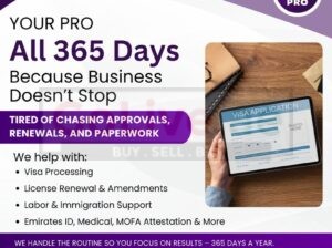 PRO Services in Dubai UAE