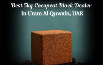 Best 5kg Cocopeat Blocks Dealer in UAE