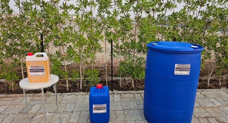 Eco Smart Car Wash – Shine Without Wasting Water