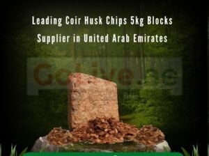 Best Cocopeat Husk Chips Wholesaler in UAE