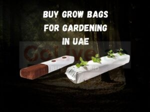 High Quality Grow Bags Wholesaler in UAE