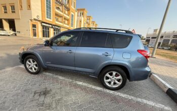 Rav4 2010
