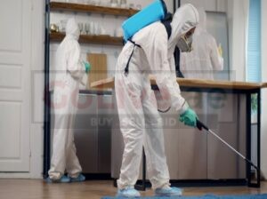 Best Pest Control Company in Sharjah | Safe and Effective Treatment
