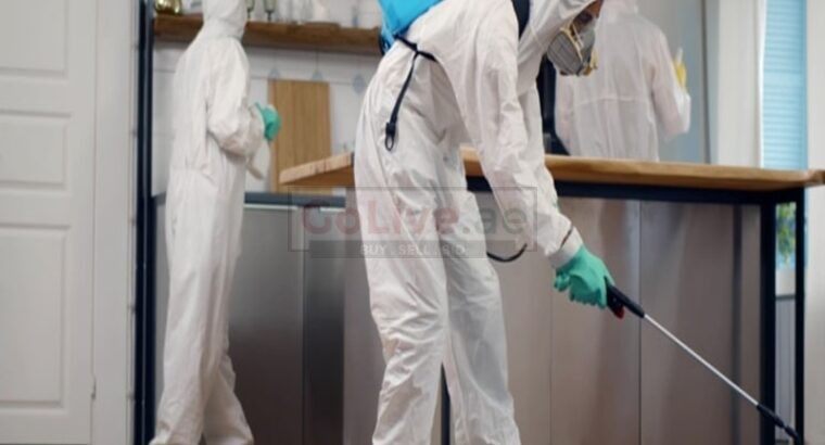 Best Pest Control Company in Sharjah | Safe and Effective Treatment