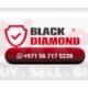 Black Diamond Pest Control — Where Safety Meets Excellence.