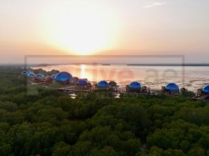 Top 10 Luxury Hotels in Dubai | Dubai Mangrove Resort Price