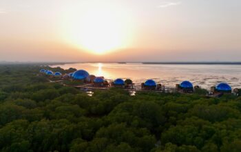 Top 10 Luxury Hotels in Dubai | Dubai Mangrove Resort Price