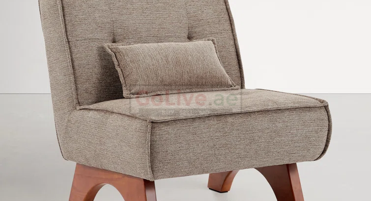 Drayk Lounge Chair with Removable Pillow – Comfortable Lounge Chair for Living Room and Bedroom