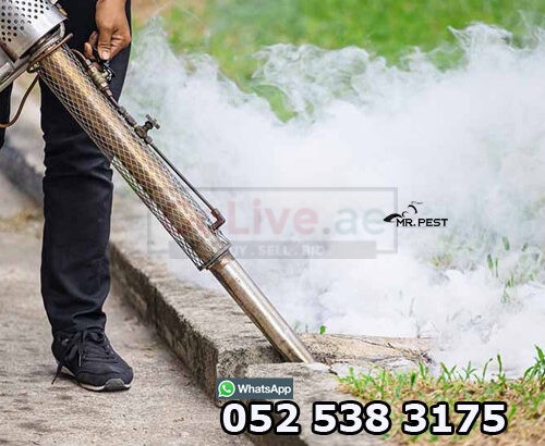 Pest Control Services Near Me Dubai 0525383175