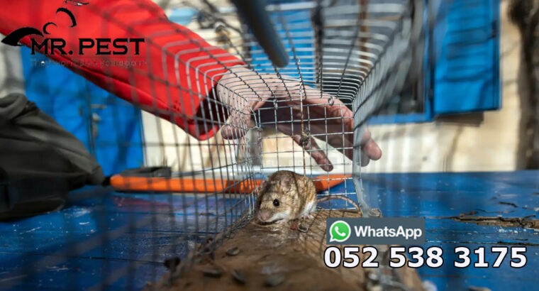 Pest Control Services Near Me Dubai 0525383175