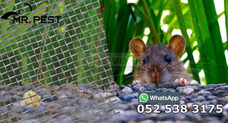Pest Control Services Near Me Dubai 0525383175